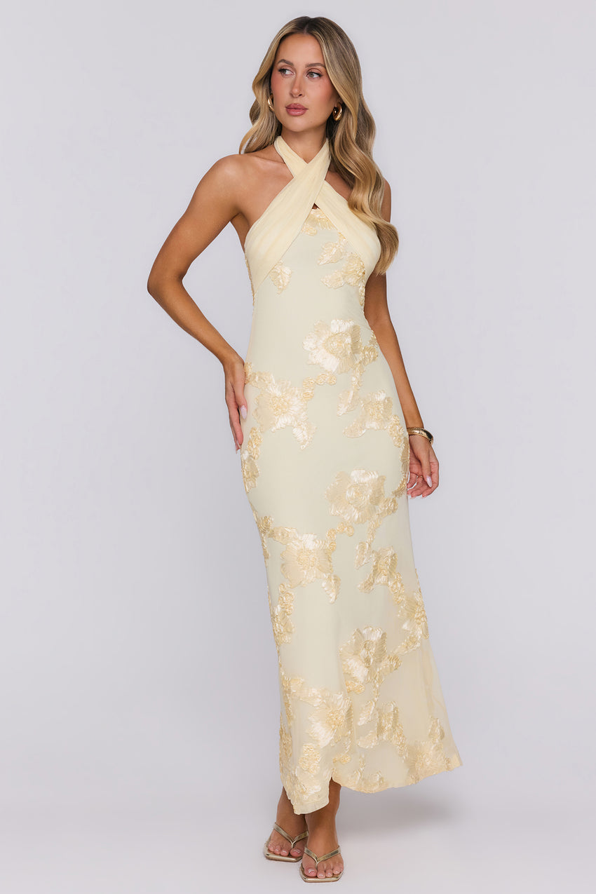 Delicate Desire Mesh Halter Maxi Dress Yellow
